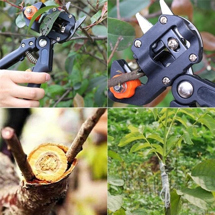  Kit de Greffage Professionnel pour Arbres Fruitiers – 2 en 1 - Image 6
